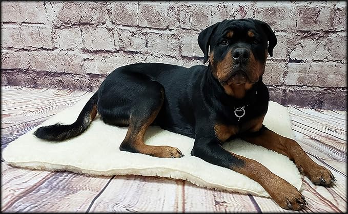 ActiveDogs Hi Loft Sherpa Faux Lambskin Dog Bed - Small 18"x24" - Orthopedic & Machine Washable - Double Layered