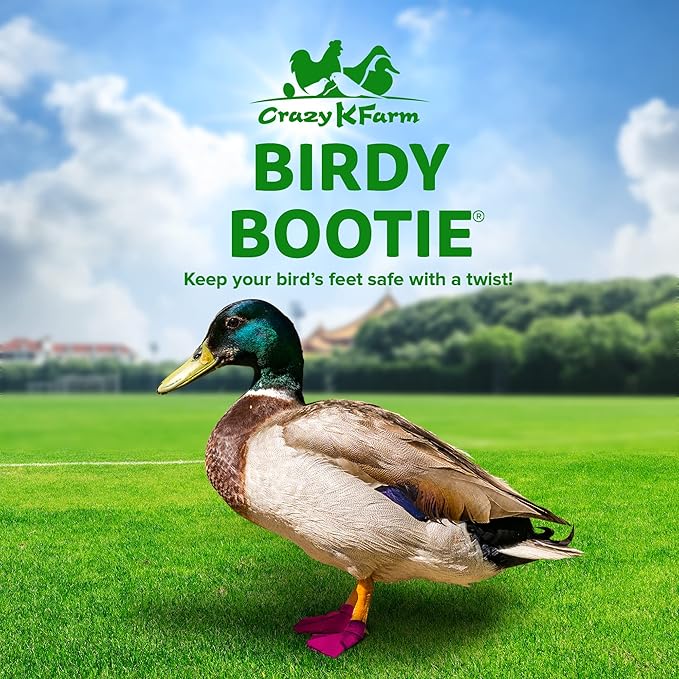 Duck Shoes for Injured Feet – Protective Neoprene Footwear for Ducks, Protective Shoes for Birds with Injured feet, Bumblefoot Relief - Large, 4.5” Max. Inside Width - Pink