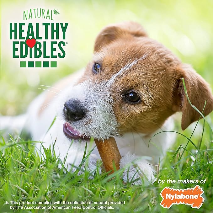 Nylabone Healthy Edibles Natural Dog Chews, Long Lasting Bones for Dogs, Bacon Flavor Dog Treats, Small (1 Count)