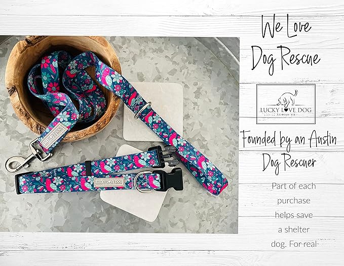 Lucky Love Dog - Adjustable Dog Collar with Easy Click Buckle for Large Dogs, Durable, & Comfortable for Male & Female Dogs, Pet Collar for Puppies & Adult Ones - Carriebelle, XL