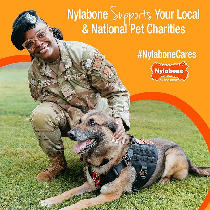 Nylabone Healthy Edibles Natural Dog Chews, Long Lasting Bones for Dogs, Turkey & Apple Flavor Dog Treats, Small (4 Count)