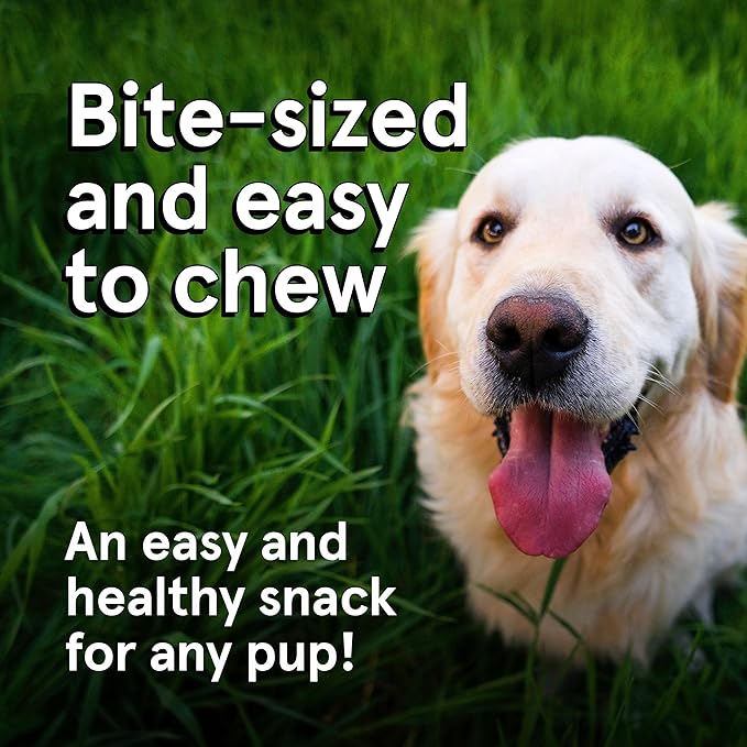 TRMC Real Meat Dog Treats - Two 12oz Bag of Bite-Sized Air-Dried Venison Jerky for Dogs - Grain-Free Jerky Treats Made up of 95% Free-Range, Grass Fed Venison - All-Natural Treats