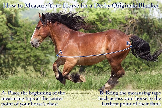 Derby Originals Nordic-Tough 1200D Heavyweight Mini Horse & Pony Turnout Blanket – Waterproof, Breathable, 300g Insulation, 210T Lining, Reflective, 2-Year Warranty (Black, 50")