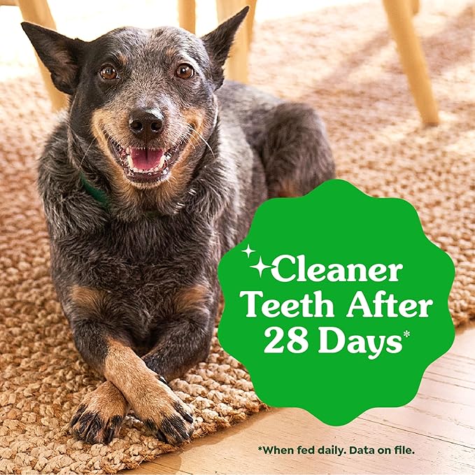 Greenies Veterinarian-Recommended Adult Natural Dental Dog Treats Petite Size,Variety Pack Flavor,(3) 12 oz. Packs,60 Count (Pack of 2)