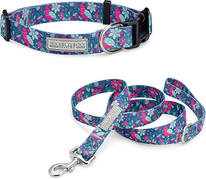 Lucky Love Dog - Adjustable Collar and Leash Set with Easy Click Buckle for Medium Dogs, Durable, & Comfortable Collar for Male & Female Dogs, Puppies & Adul t- CarrieBelle Combo, Medium