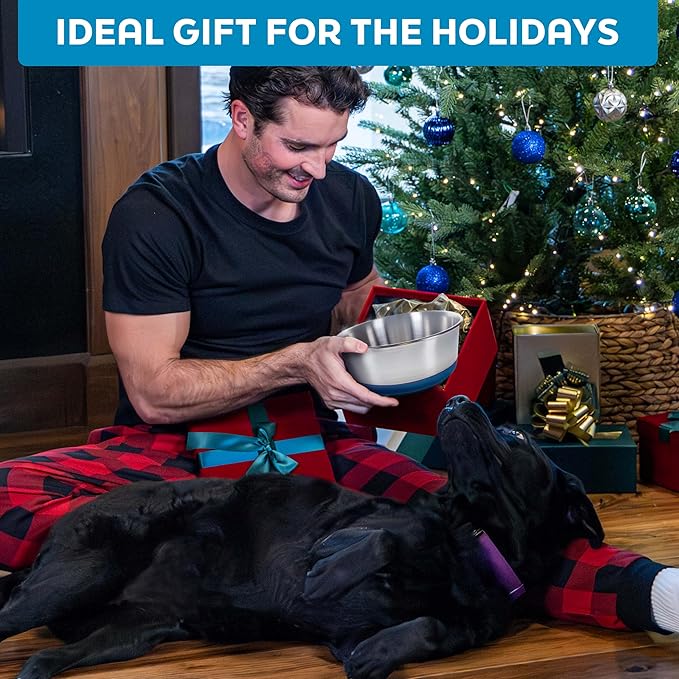 Master Pet Supply Stainless Steel Dog Bowls Set of 2 with Extra Thick Silicone Base - 2 Cup (16 oz) Black Velvet, Non-Slip, Dishwasher Safe Metal Bowls, Pet Dog Food Bowl for Dogs, Cats, Anti Rust