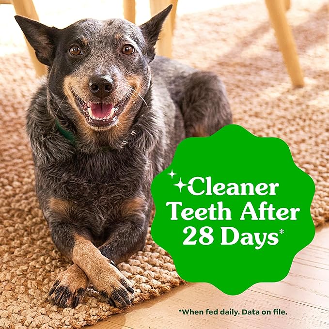 Greenies Veterinarian-Recommended Adult Natural Dental Dog Treats Petite Size, Sweet Potato Flavor, 36 oz. Pack, 60 Count