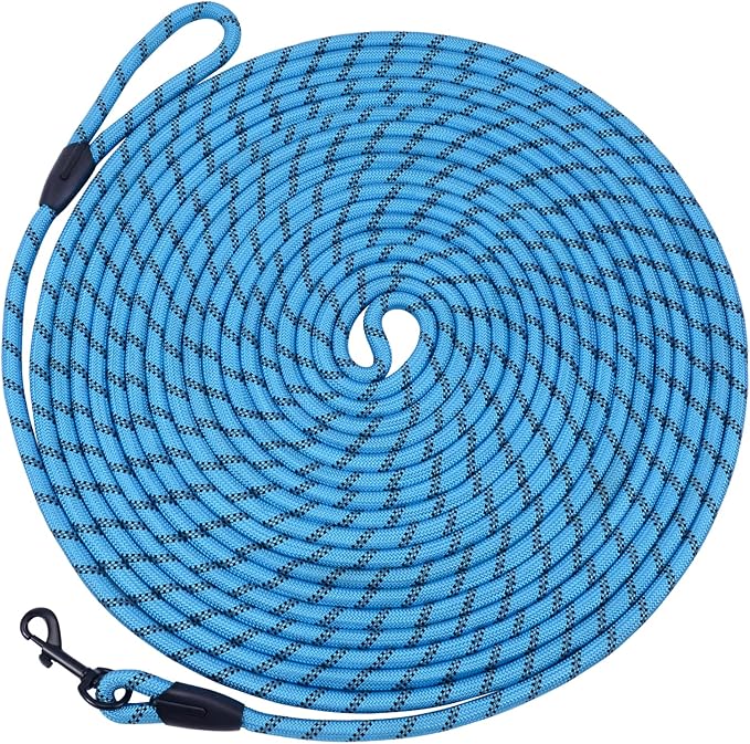 Long Dog Leash for Training 30Ft-Reflective Nylon Rope with Swivel Hook-Recall Agility Lead for Large Small Medium Dogs Outside Walking Hiking-Sky Blue