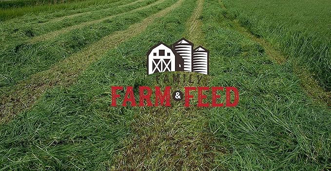 | Timothy Grass Food | Small Pet | Young and Adult | Cubes | 3 Pounds
