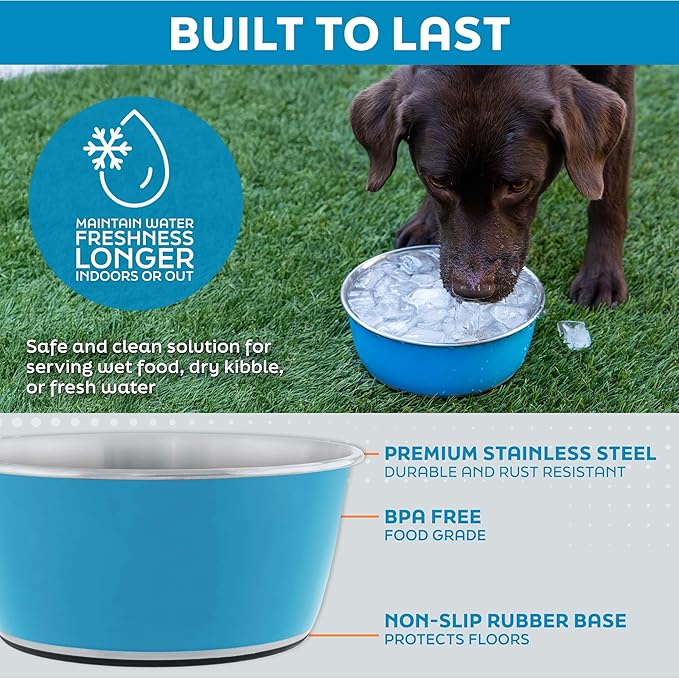 Master Pet Supply Stainless Steel Dog Bowls Set of 2 (128 Oz Each) with Non-Slip Rubber Base - Hyper Pink - Basic Dog Food Bowl Water & Food Bowls for Small Medium Large Dogs & Cats, Metal Dish