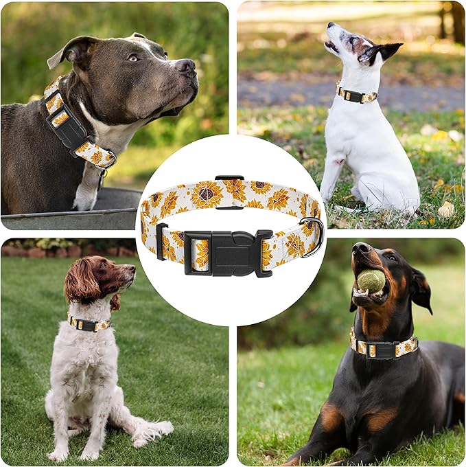 Dog Collar, Floral Boys Girls Puppy Collar for Small Medium Large Dogs, Soft Adjustable Collar with Safety Buckle for Male Females (XS, White Floral)