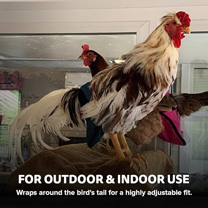 Hen Holster Wrap-Around Bird Diaper & Harness for Hens, Roosters, Ducks, Geese - with Removable Vinyl Liner, Adjustable Fit for Outdoor Adventures & Indoor Use - Easy to wear - Large, Pink