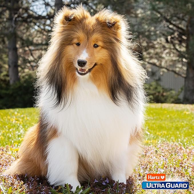 Hartz UltraGuard Dual Action Flea & Tick Topical Dogs & Puppies Treatment & Prevention, 6 Months, 60+ lbs