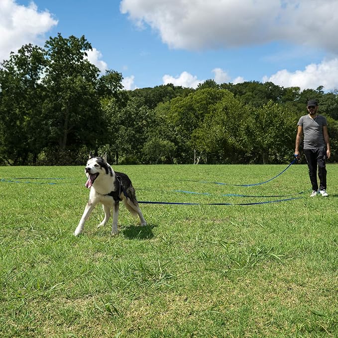 Hi Kiss Dog/Puppy Obedience Recall Training Agility Lead - 15ft 20ft 30ft 50ft 100ft Training Leash - Great for Training, Play, Camping, or Backyard Blue 100 Feet