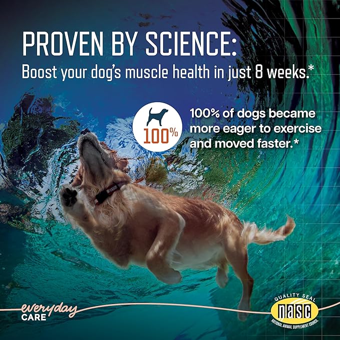 URSOLYX Soft Chews for Dogs | Muscle Health Support for Senior, Active or Recovering Dogs, Large | 120 Count 4-Month Supply